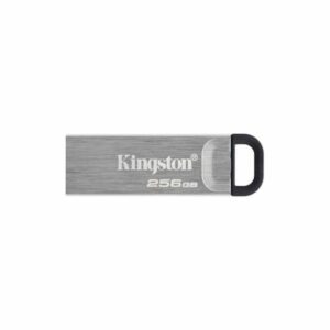 Pendrive Kingston DTKN/256GB USB 3.2 Plateado Negro 256 GB