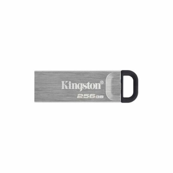 Pendrive Kingston DTKN/256GB USB 3.2 Plateado Negro 256 GB