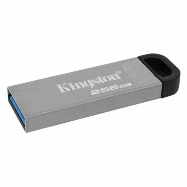 Pendrive Kingston DTKN/256GB USB 3.2 Plateado Negro 256 GB - Imagen 2