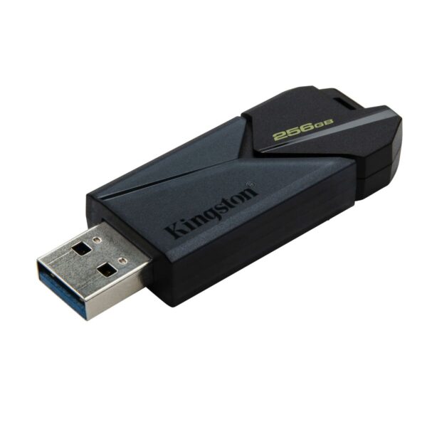 Memoria USB Kingston DTXON/256GB 256 GB - Imagen 2