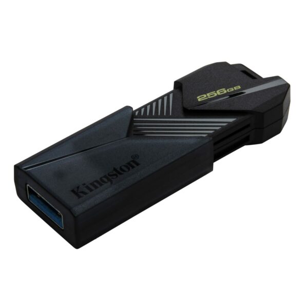 Memoria USB Kingston DTXON/256GB 256 GB - Imagen 3