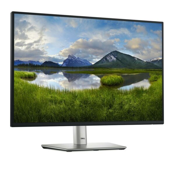 Monitor Dell P2425  24,1" HD WUXGA 100 Hz - Imagen 4