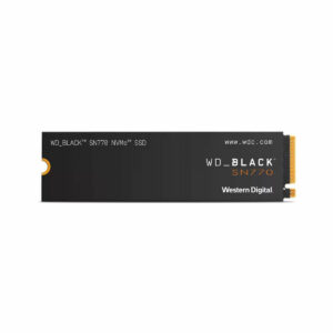 Disco Duro Western Digital WDS100T3X0E 1 TB