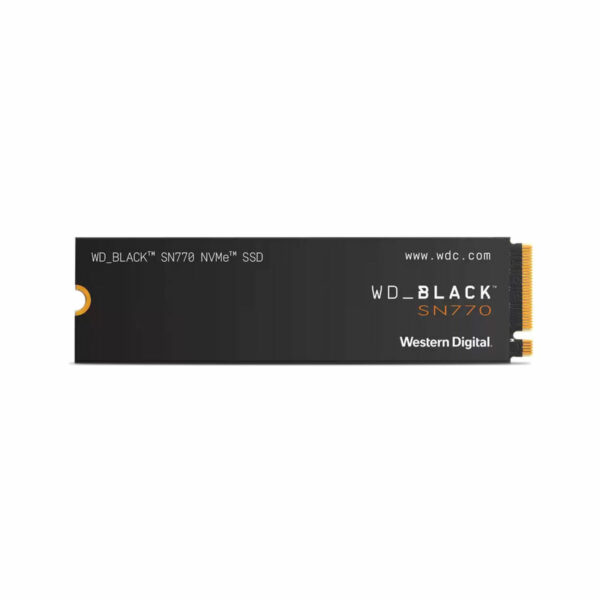 Disco Duro Western Digital WDS100T3X0E 1 TB