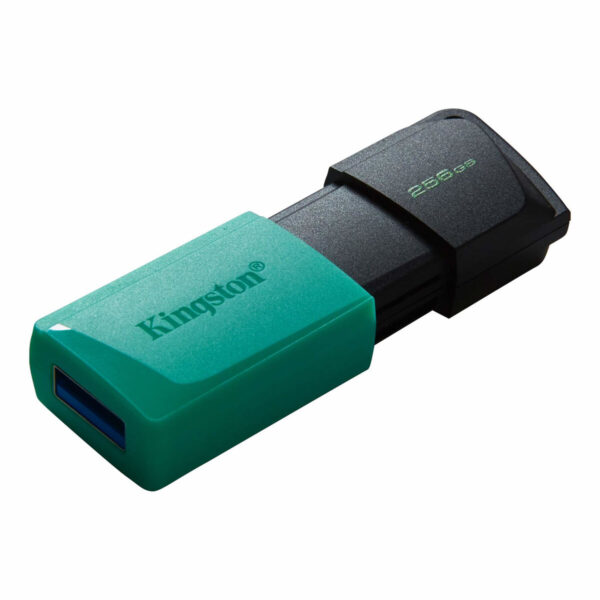 Pendrive Kingston DTXM/256GB Llavero Negro Turquesa 256 GB - Imagen 2