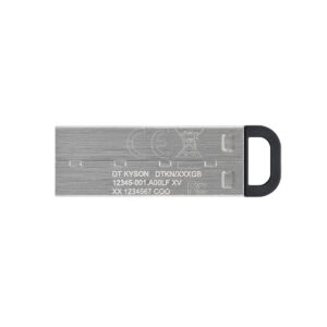 Memoria USB Kingston DataTraveler Kyson Plateado 512 GB