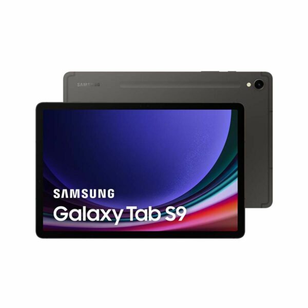 Tablet Samsung Galaxy Tab S9 12 GB RAM 11" 256 GB Gris