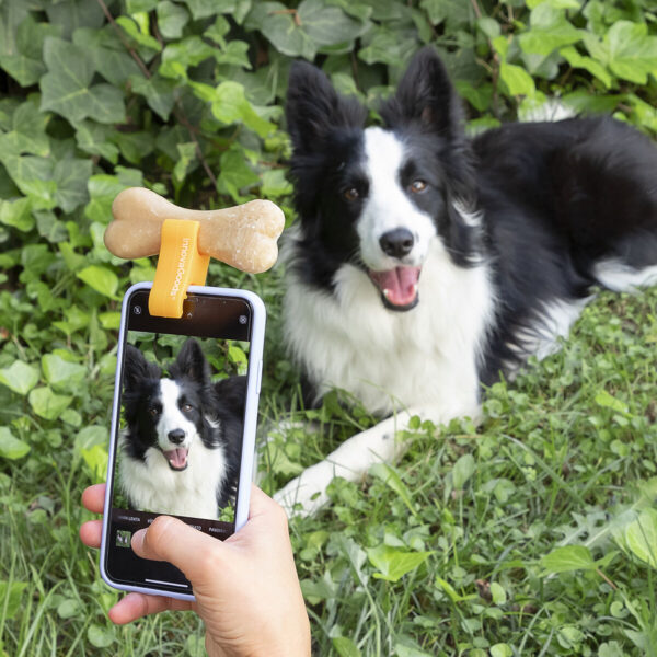 Clip de Selfies para Mascotas Pefie InnovaGoods - Imagen 5